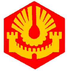 Badge éclaireur GSE - cité - CARRICK France