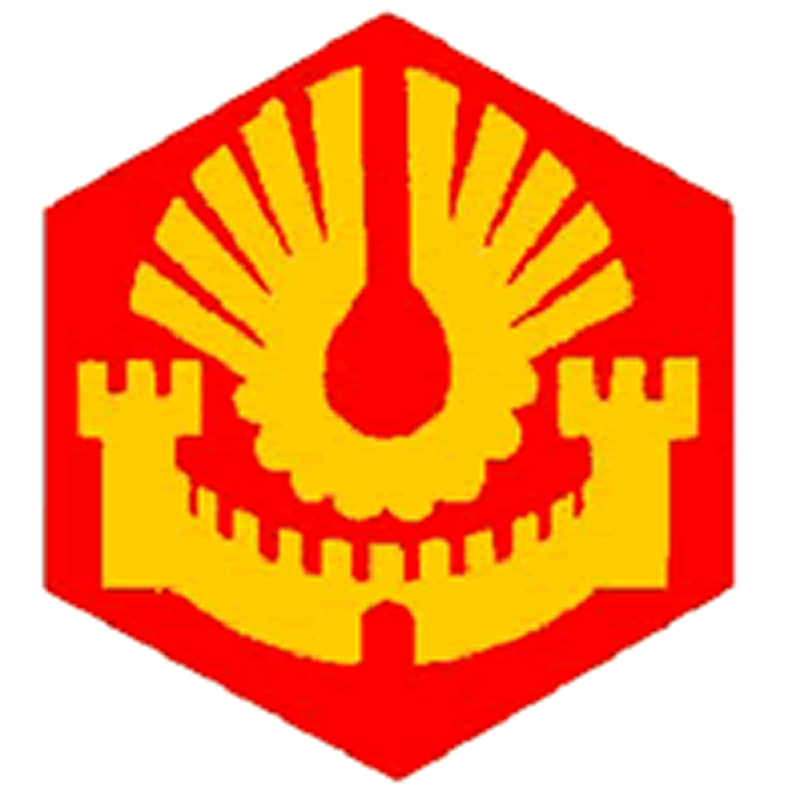 Badge éclaireur GSE - cité