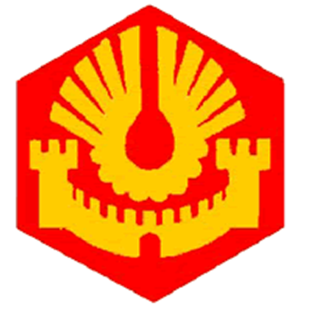 Badge éclaireur GSE - cité - CARRICK France