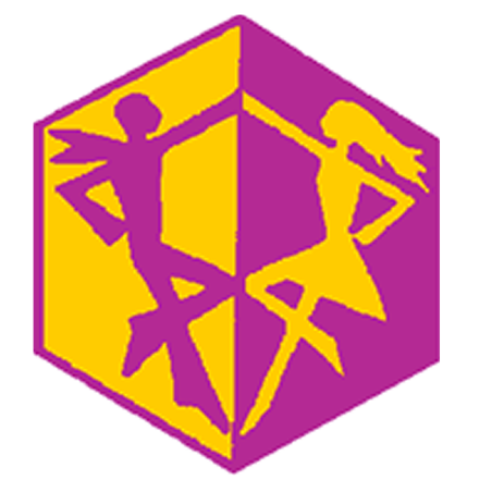 Badge éclaireur GSE - danse - CARRICK France