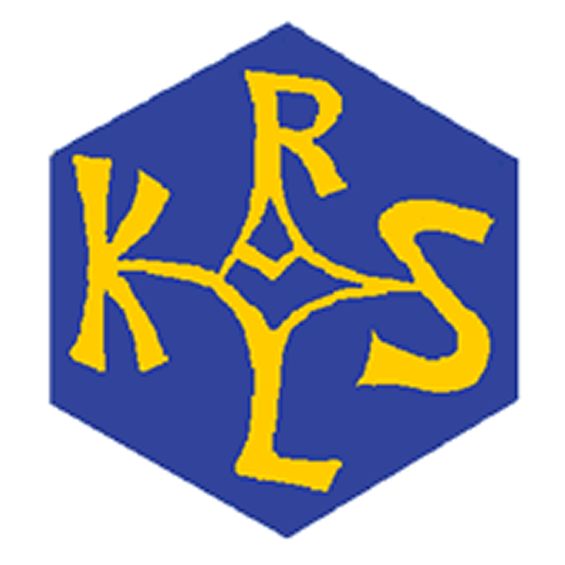 Badge éclaireur GSE - Europe
