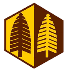 Badge éclaireur GSE - forêt - CARRICK France