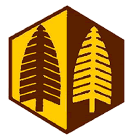 Badge éclaireur GSE - forêt - CARRICK France