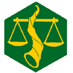 Badge éclaireur GSE - intendant - CARRICK France