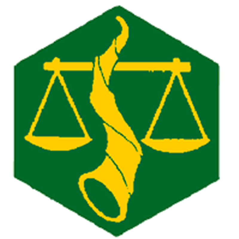 Badge éclaireur GSE - intendant Badge éclaireur GSE - intendant