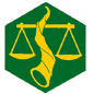 Badge éclaireur GSE - intendant Badge éclaireur GSE - intendant