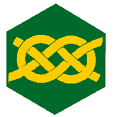 Badge éclaireur GSE - matelotage - CARRICK France