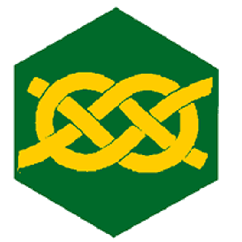Badge éclaireur GSE - matelotage