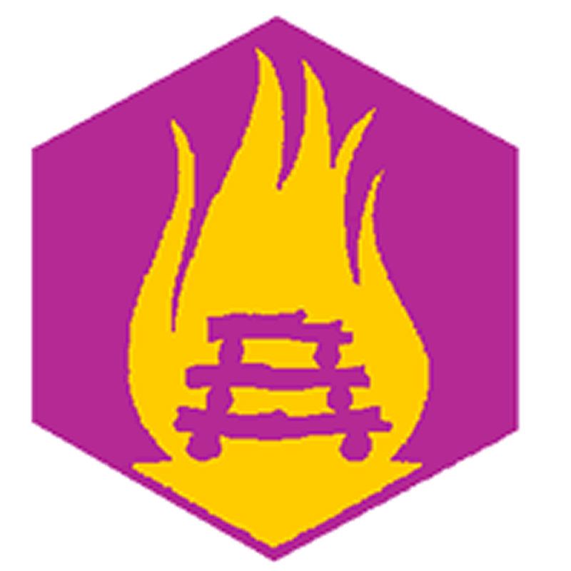 Badge éclaireur GSE - animation