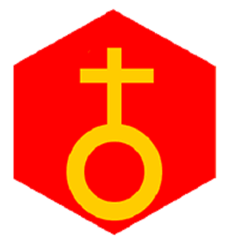 Badge éclaireur GSE - mission - CARRICK France