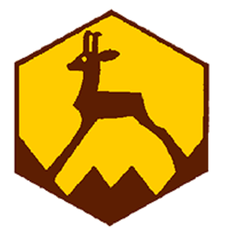 Badge éclaireur GSE - montagne - CARRICK France