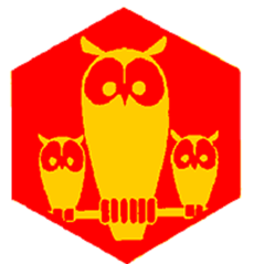 Badge éclaireur GSE - nature - CARRICK France