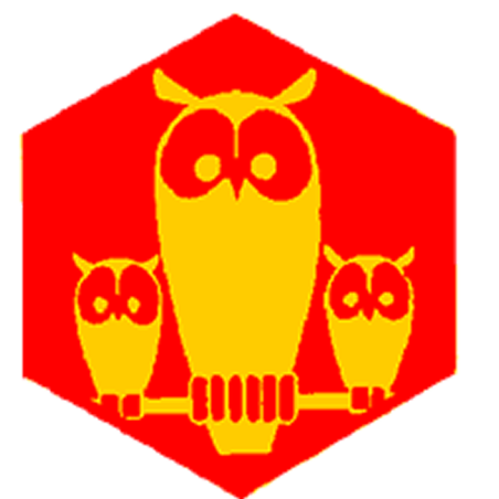 Badge éclaireur GSE - nature - CARRICK France
