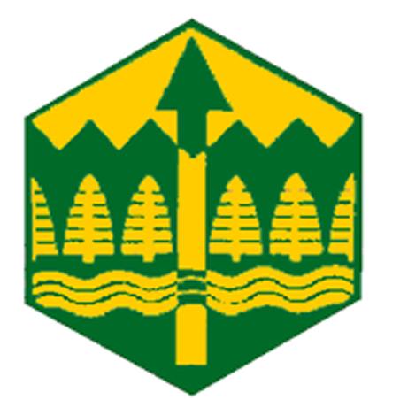 Badge éclaireur GSE - orientation - CARRICK France
