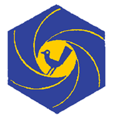 Badge éclaireur GSE - photo ciné - CARRICK France