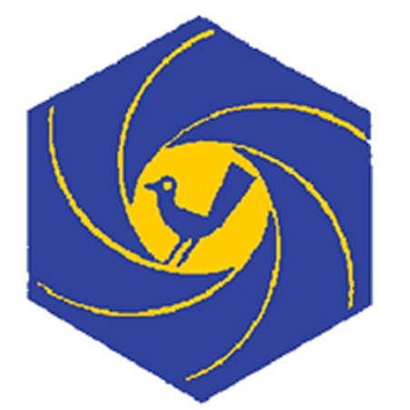 Badge éclaireur GSE - photo ciné - CARRICK France