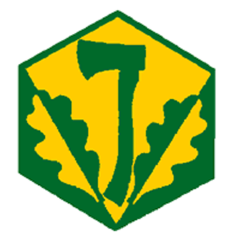 Badge éclaireur GSE - pionniérisme - CARRICK France