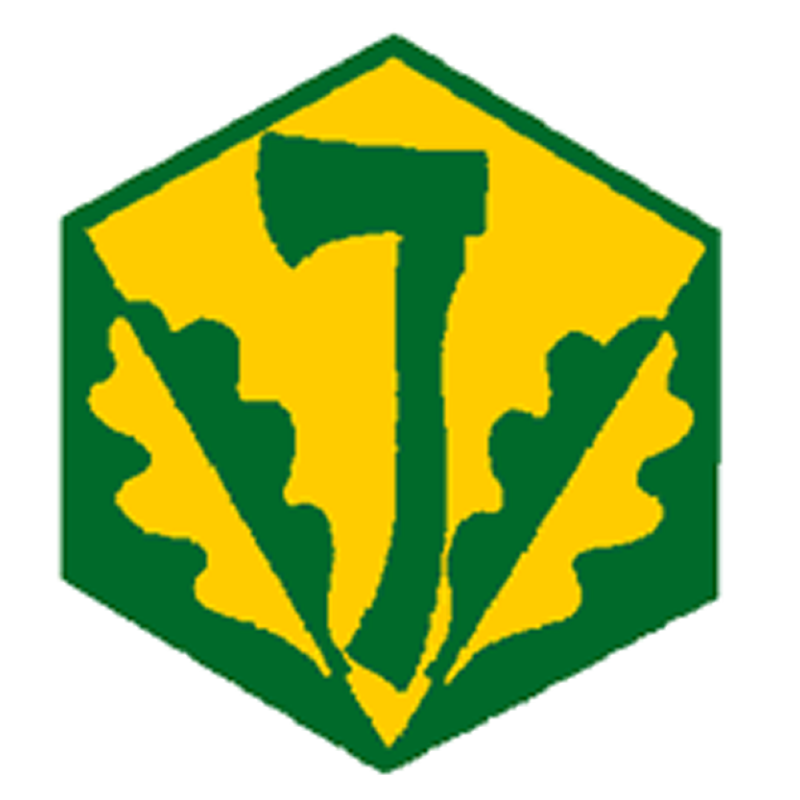 Badge éclaireur GSE - pionnier Badge éclaireur GSE - pionnier