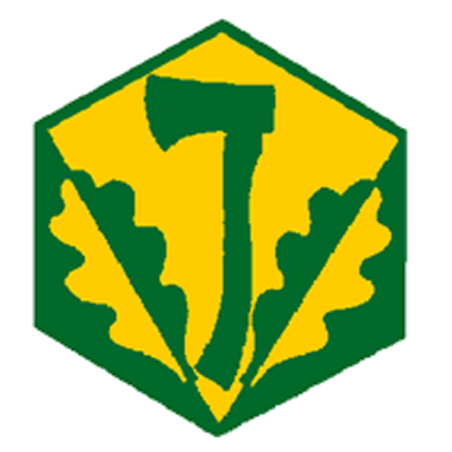 Badge éclaireur GSE - pionniérisme - CARRICK France