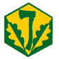 Badge éclaireur GSE - pionnier Badge éclaireur GSE - pionnier