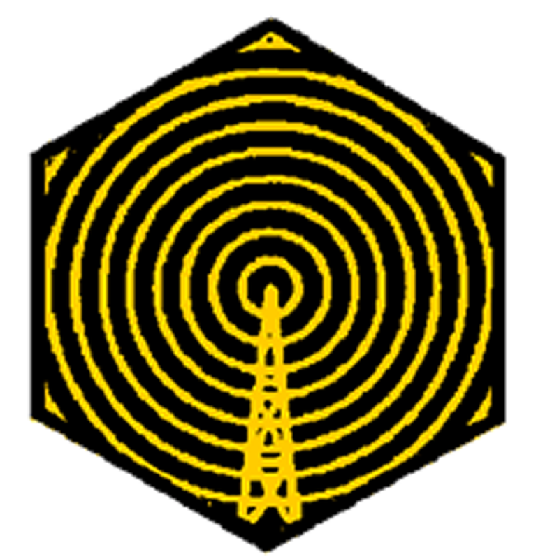 Badge éclaireur GSE - radio