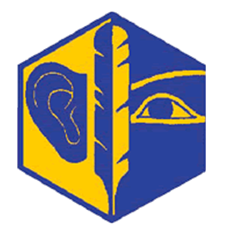Badge éclaireur GSE - reportage