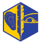 Badge éclaireur GSE - reportage