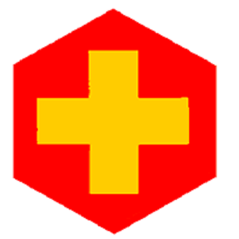Badge éclaireur GSE - secourisme - CARRICK France