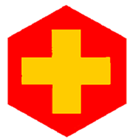 Badge éclaireur GSE - secourisme - CARRICK France