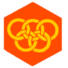 Badge éclaireur GSE - sports - CARRICK France