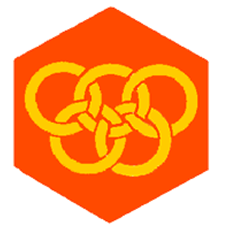 Badge éclaireur GSE - sports - CARRICK France