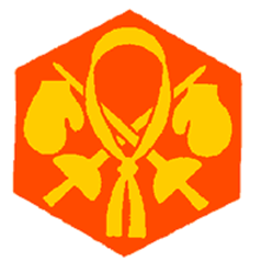 Badge éclaireur GSE - sports de combat - CARRICK France