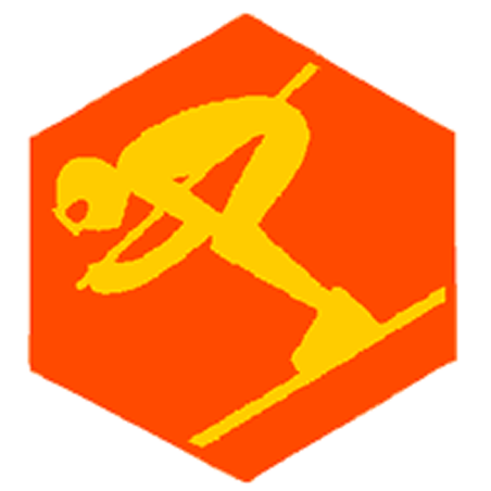 Badge éclaireur GSE - ski - CARRICK France