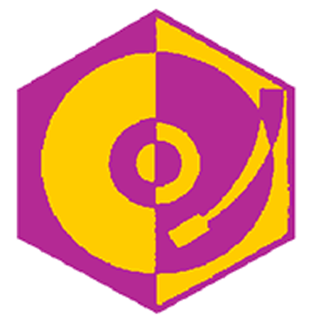 Badge éclaireur GSE - sono - CARRICK France
