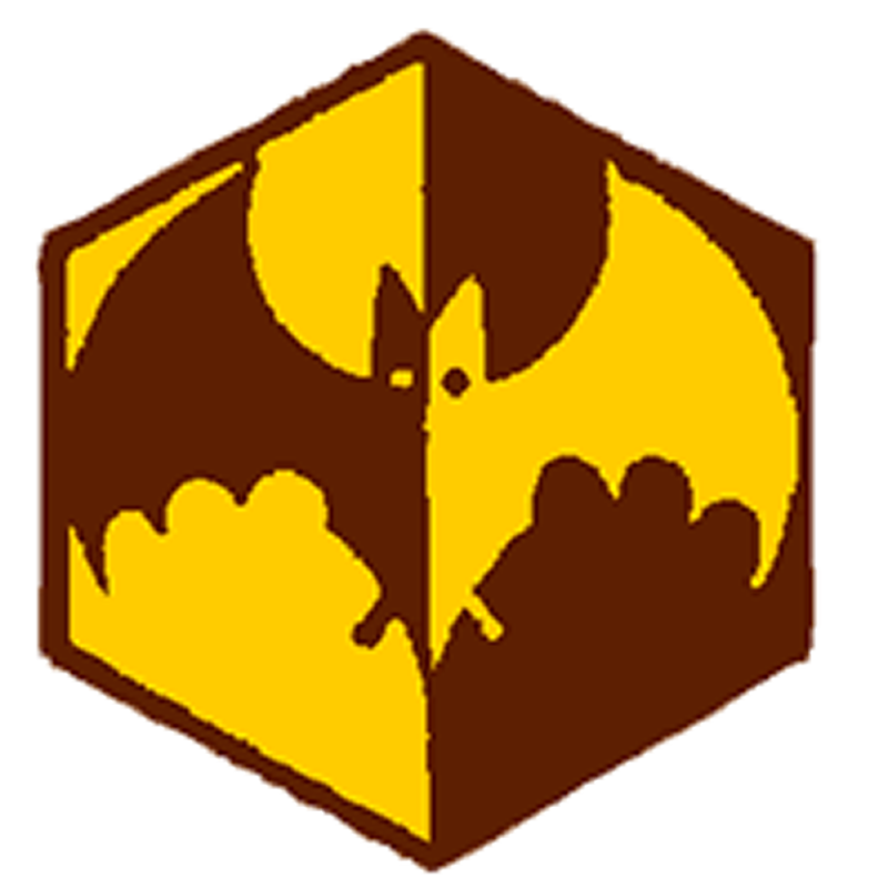 Badge éclaireur GSE - terre