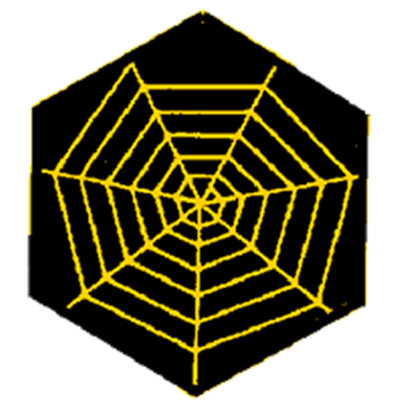 Badge éclaireur GSE - tissage - CARRICK France