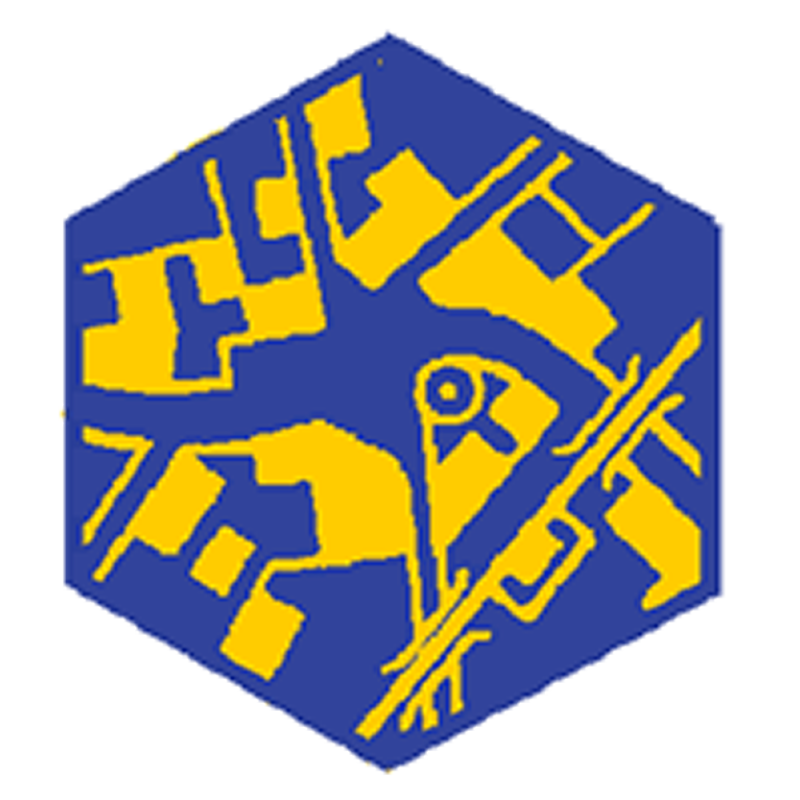 Badge éclaireur GSE - topographie