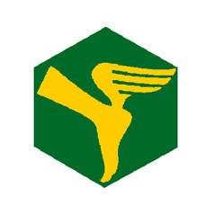 Badge éclaireur GSE - transmissions - CARRICK France