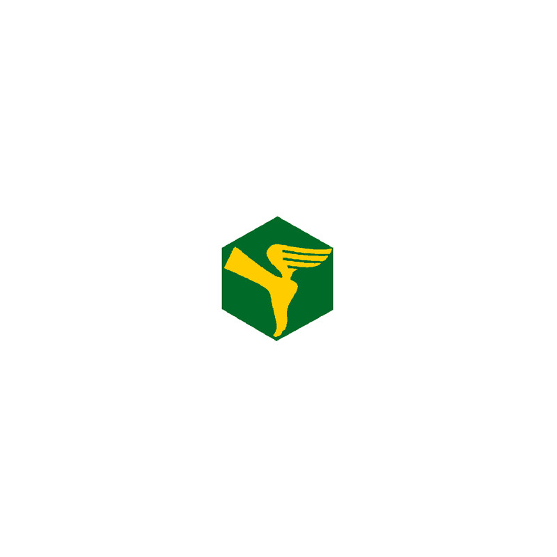 Badge éclaireur GSE - transmissions