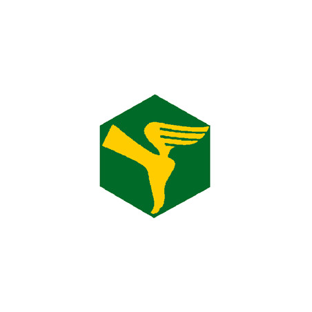 Badge éclaireur GSE - transmissions - CARRICK France