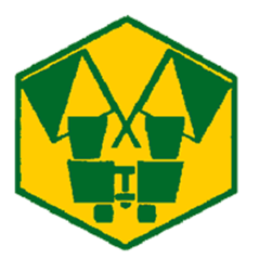 Badge éclaireur GSE - observation - CARRICK France