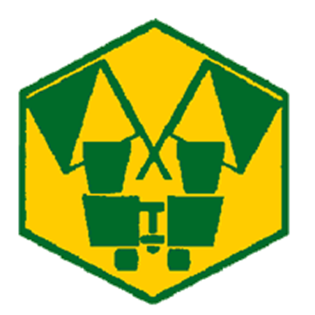 Badge éclaireur GSE - observation - CARRICK France