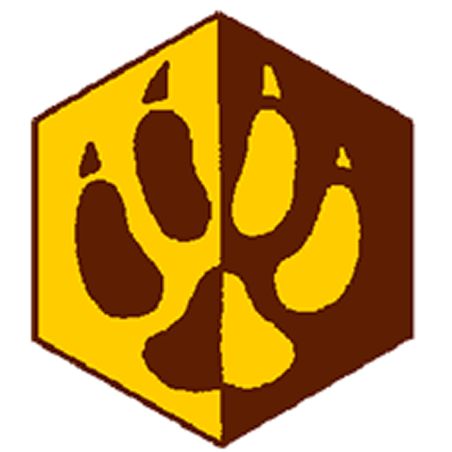 Badge éclaireur GSE - traqueur - CARRICK France