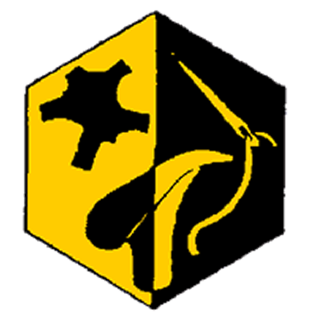Badge éclaireur GSE - cordonnerie - CARRICK France