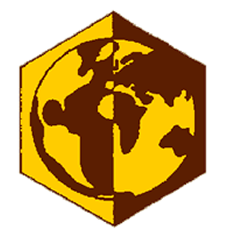 Badge éclaireur GSE - géologie - CARRICK France