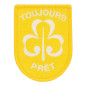 Insigne aspirant -FEE