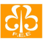Insigne aspirant -FEE