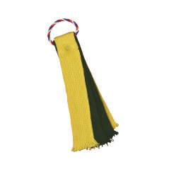 Flot de patrouille