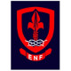 Insignes de base