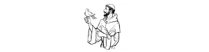 Saint François